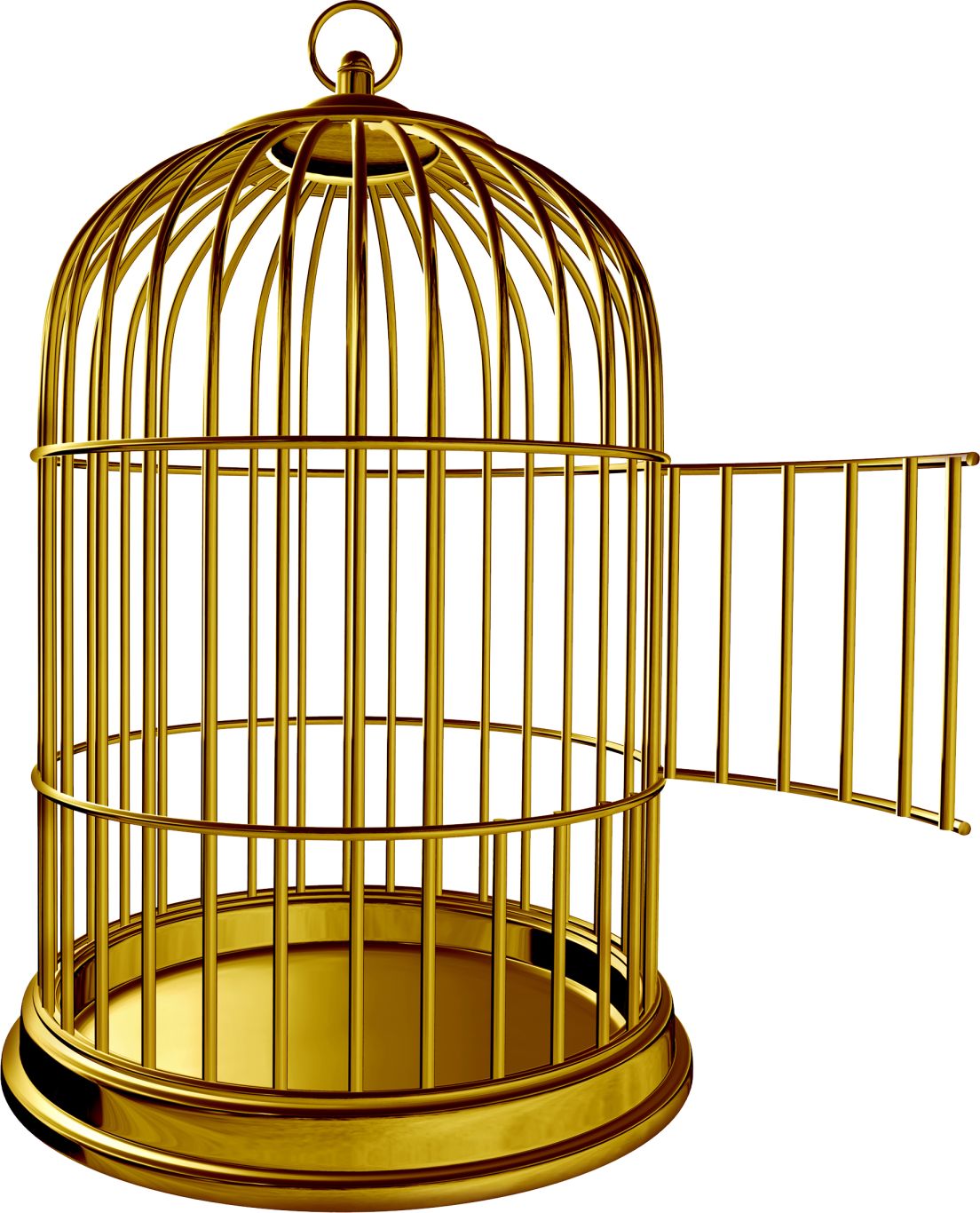 Cage bird PNG    图片编号:41397