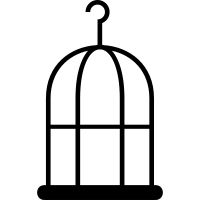 Cage bird PNG    图片编号:41398