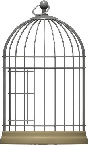 Cage bird PNG    图片编号:41388