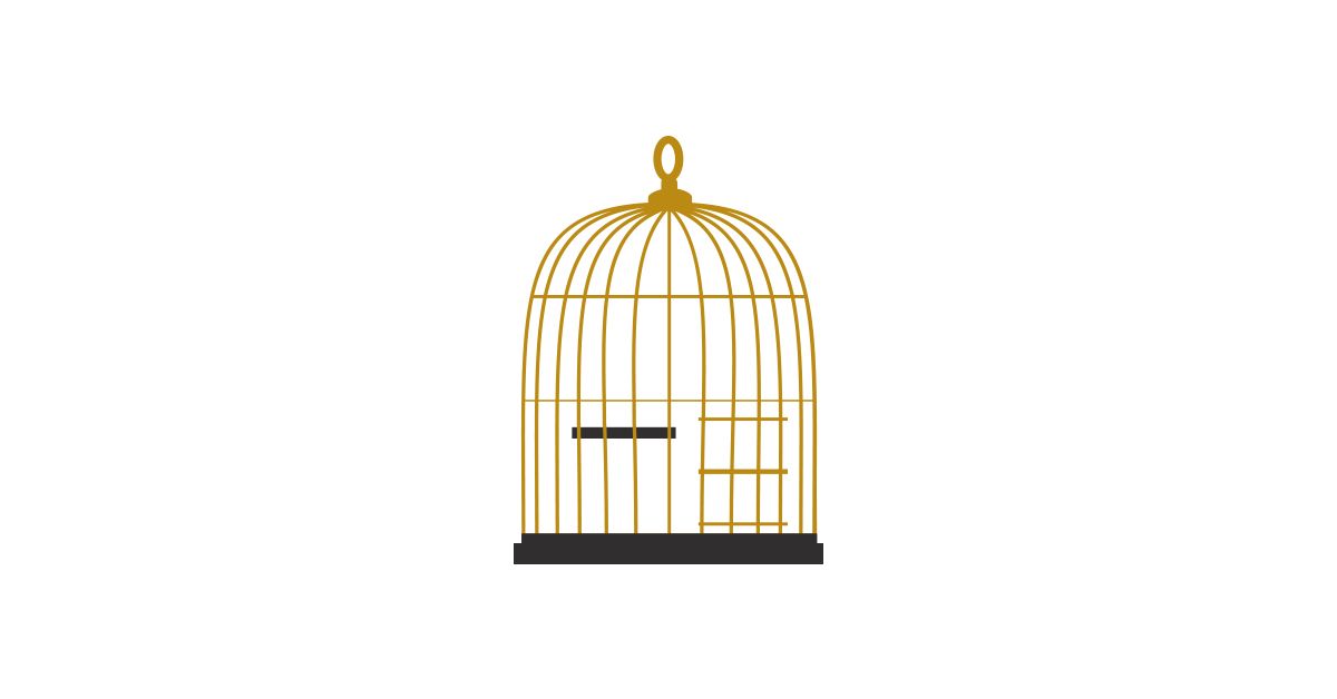 Cage bird PNG    图片编号:41413