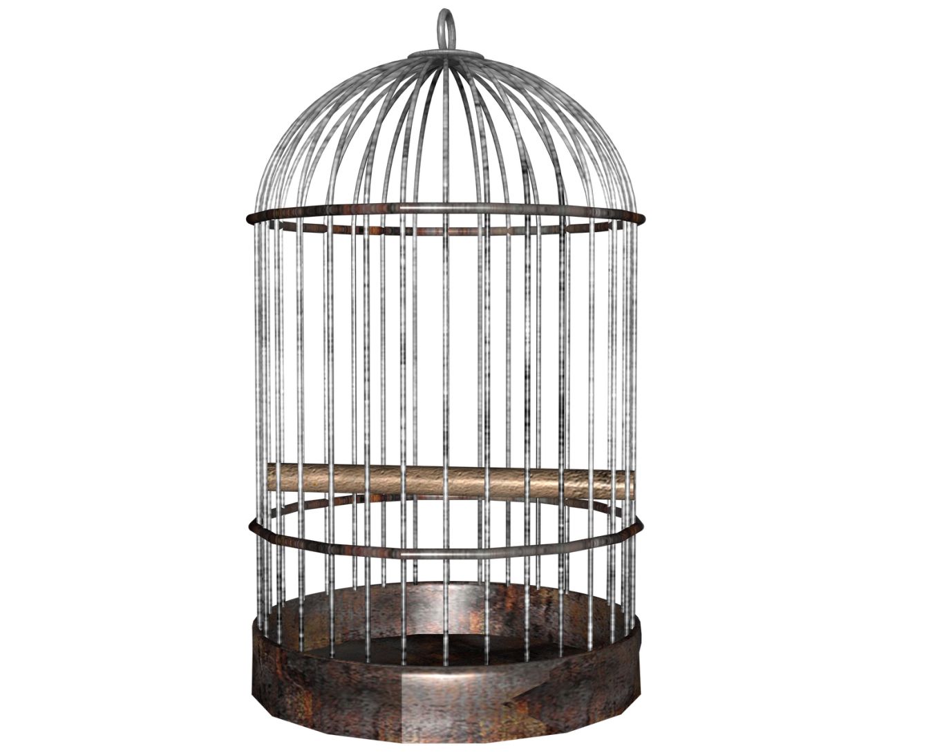 Cage bird PNG    图片编号:41414