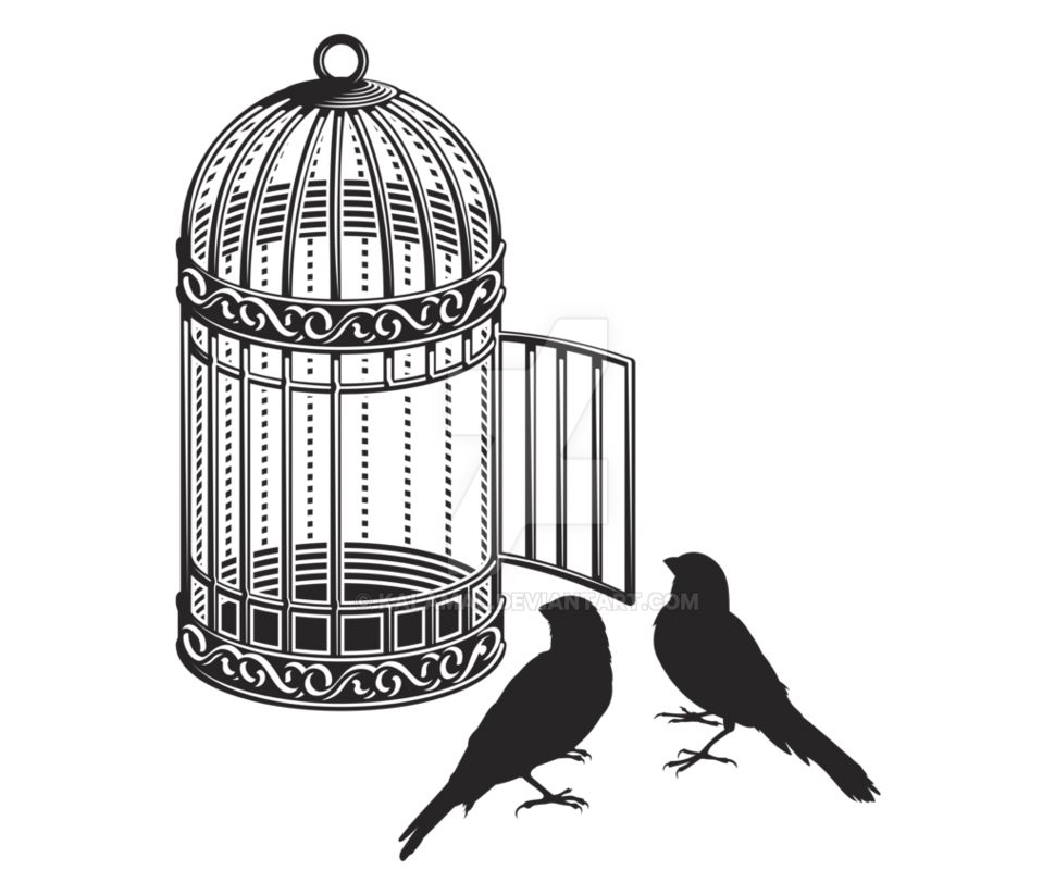 Cage bird PNG    图片编号:41415
