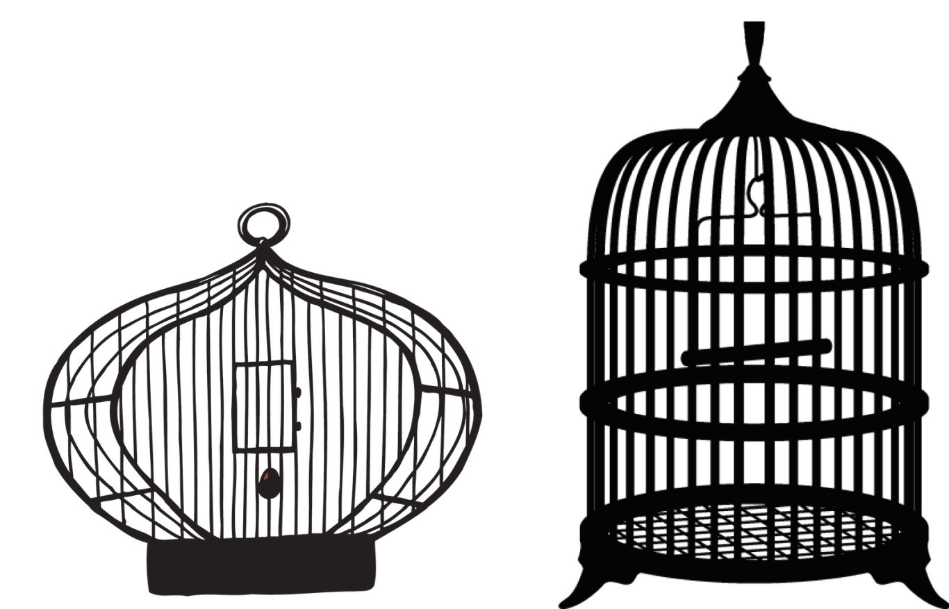 Cage bird PNG    图片编号:41419