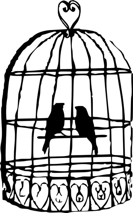 Cage bird PNG    图片编号:41421