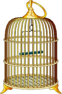 Cage bird PNG    图片编号:41424