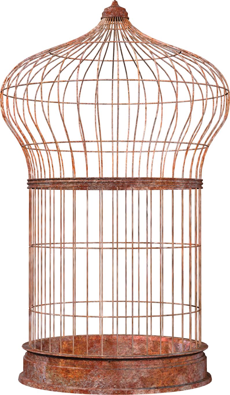 Cage bird PNG    图片编号:41434