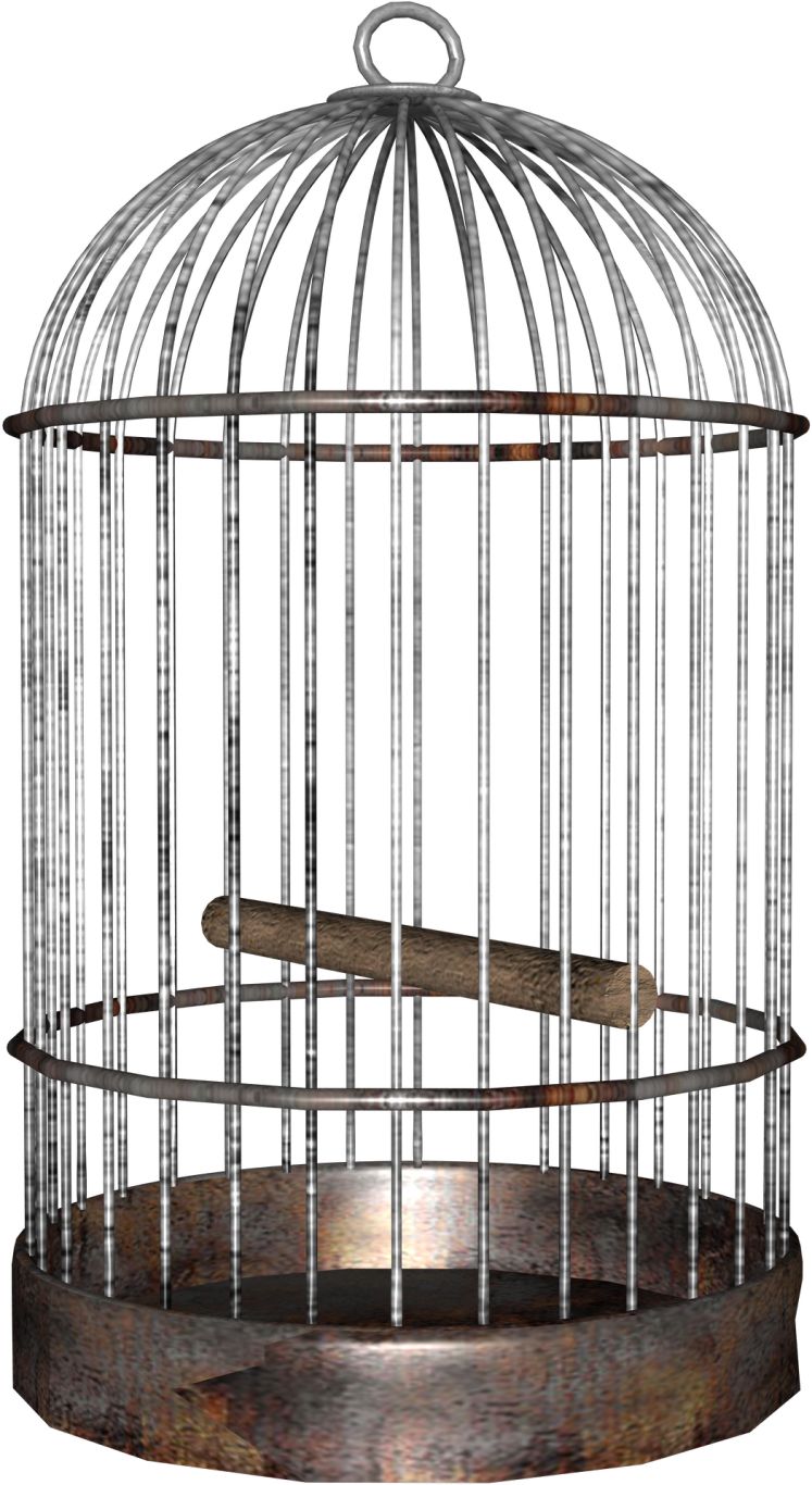 Cage bird PNG    图片编号:41435