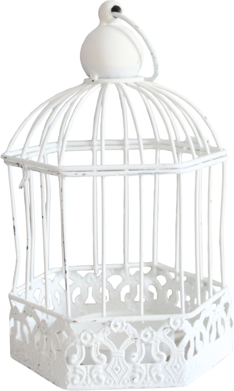 Cage bird PNG    图片编号:41437