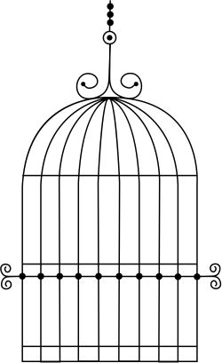 Cage bird PNG    图片编号:41440