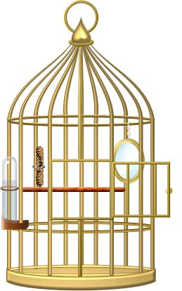 Cage bird PNG    图片编号:41393
