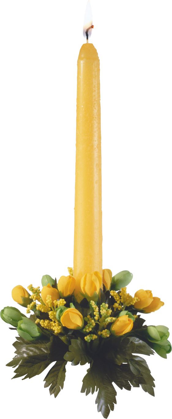 Candle PNG image    图片编号:7301