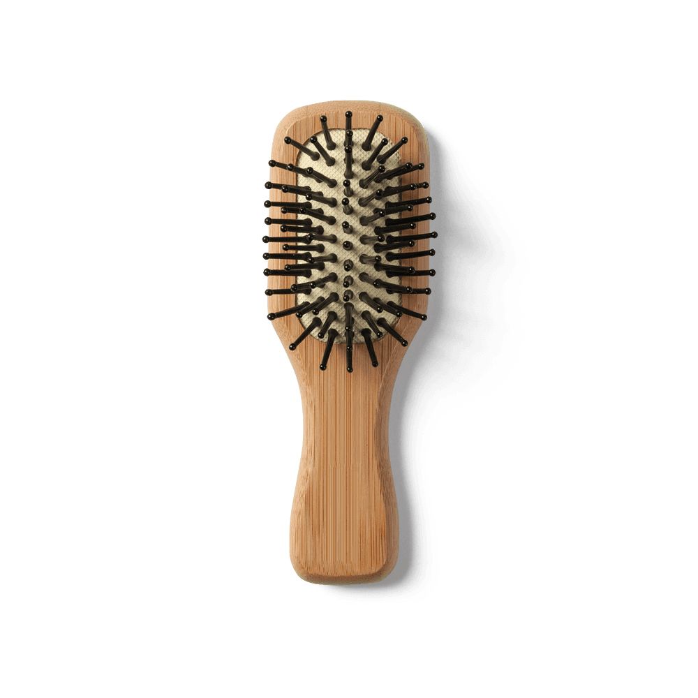 Hairbrush PNG    图片编号:75858