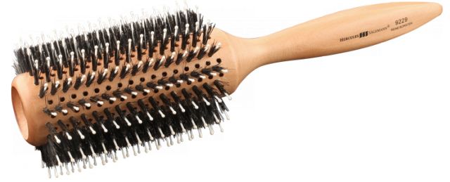 Hairbrush PNG    图片编号:75872