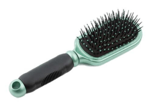 Hairbrush PNG    图片编号:75752
