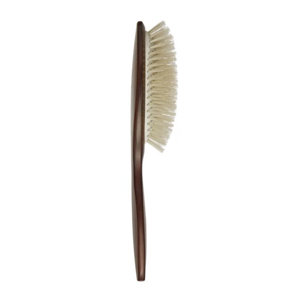 Hairbrush PNG    图片编号:75781