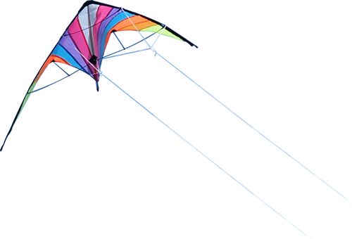 Kite PNG    图片编号:71161