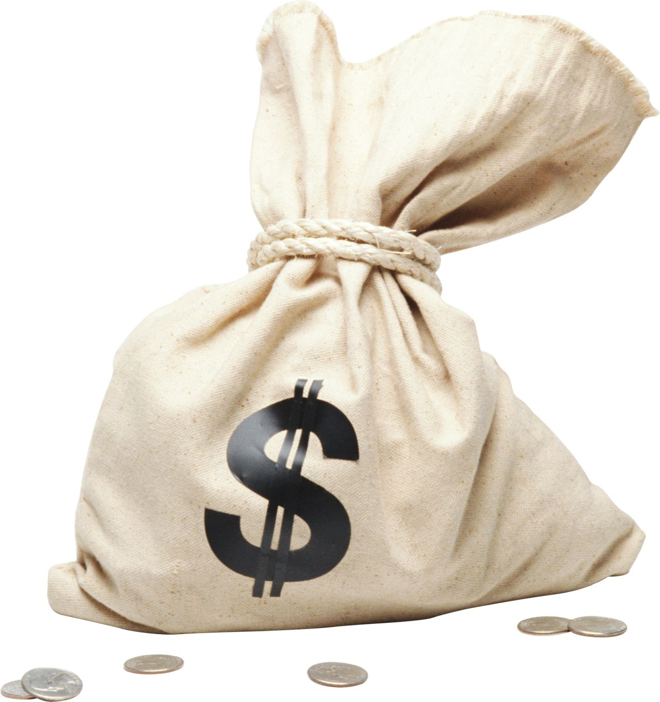Money bag PNG image    图片编号:3536