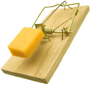 Mouse trap PNG    图片编号:28440