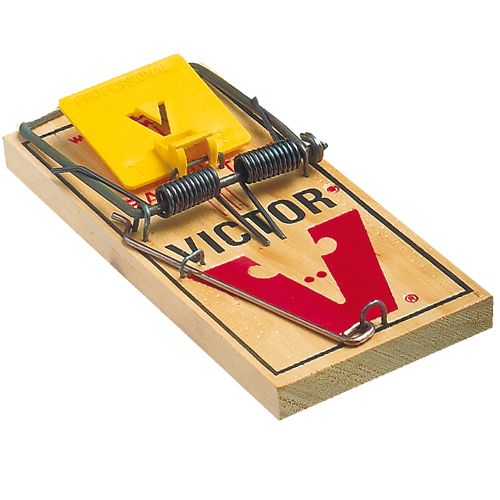 Mouse trap PNG    图片编号:28443