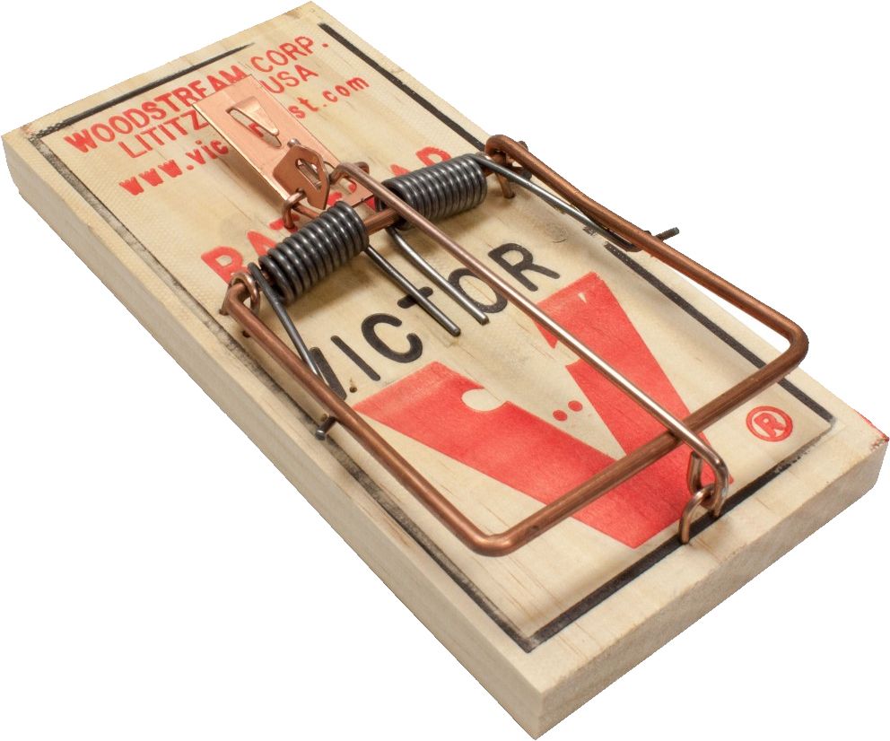 Mouse trap PNG    图片编号:28428
