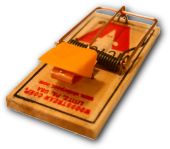 Mouse trap PNG    图片编号:28446