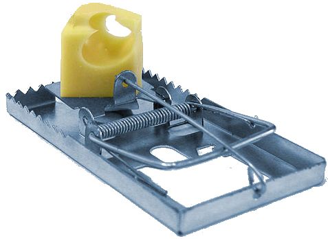 Mouse trap PNG    图片编号:28447