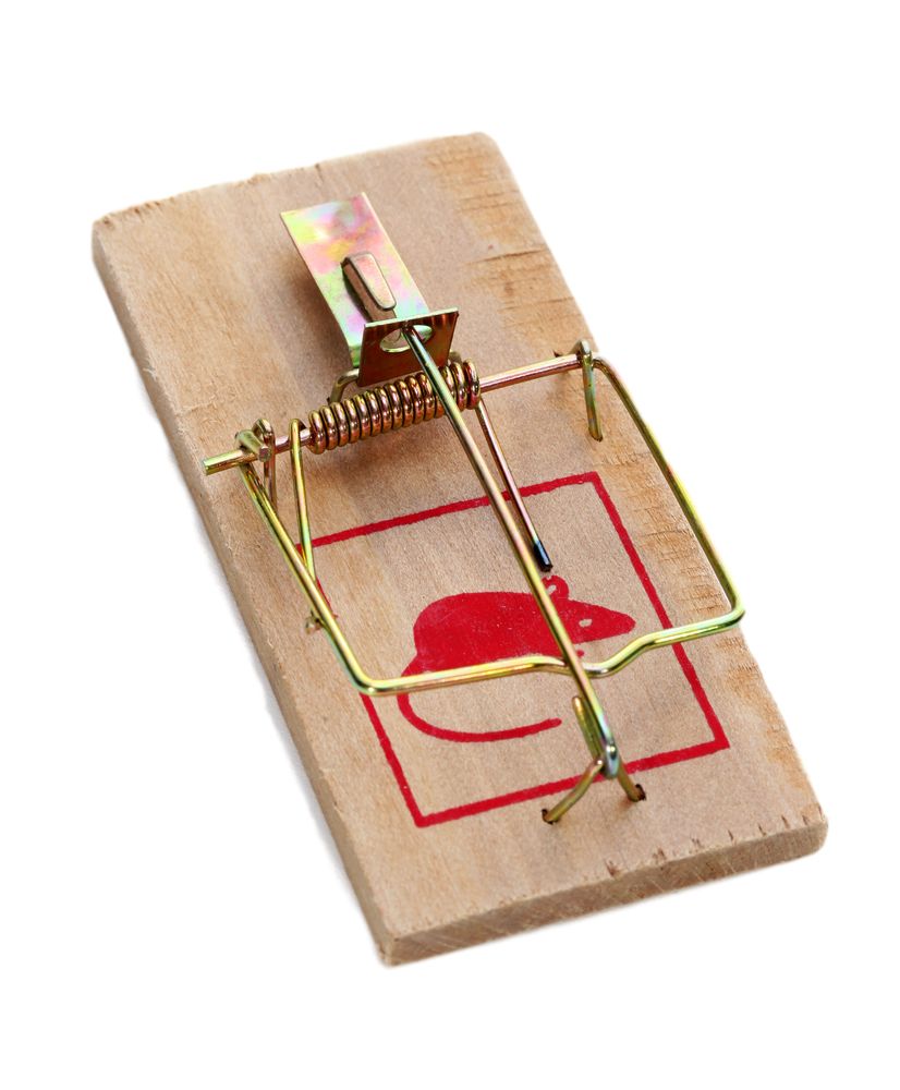 Mouse trap PNG    图片编号:28448