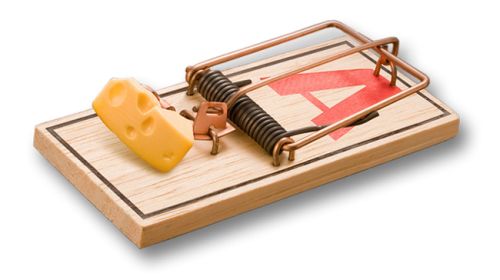Mouse trap PNG    图片编号:28456