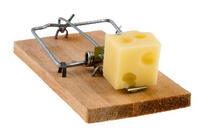 Mouse trap PNG    图片编号:28461