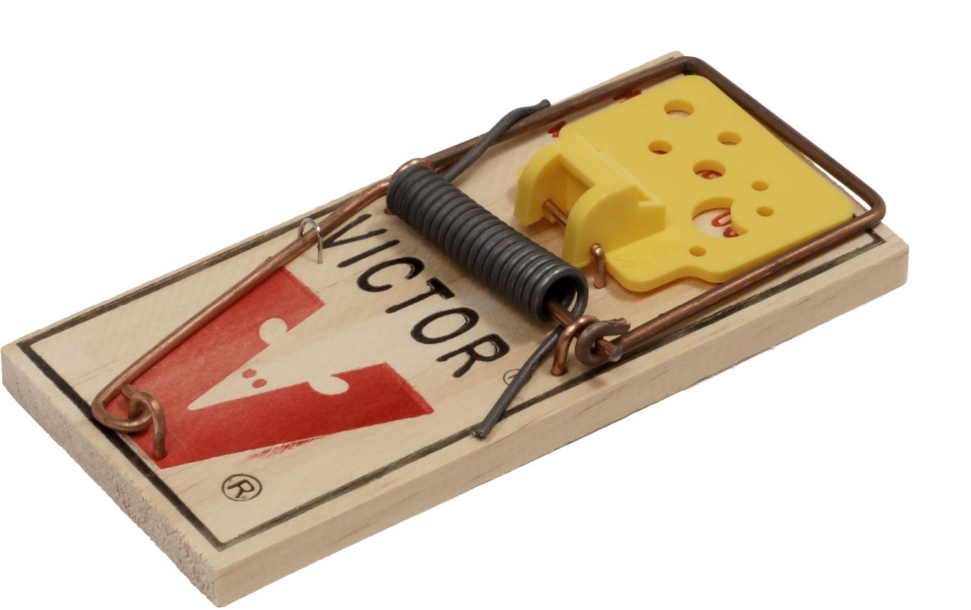 Mouse trap PNG    图片编号:28431
