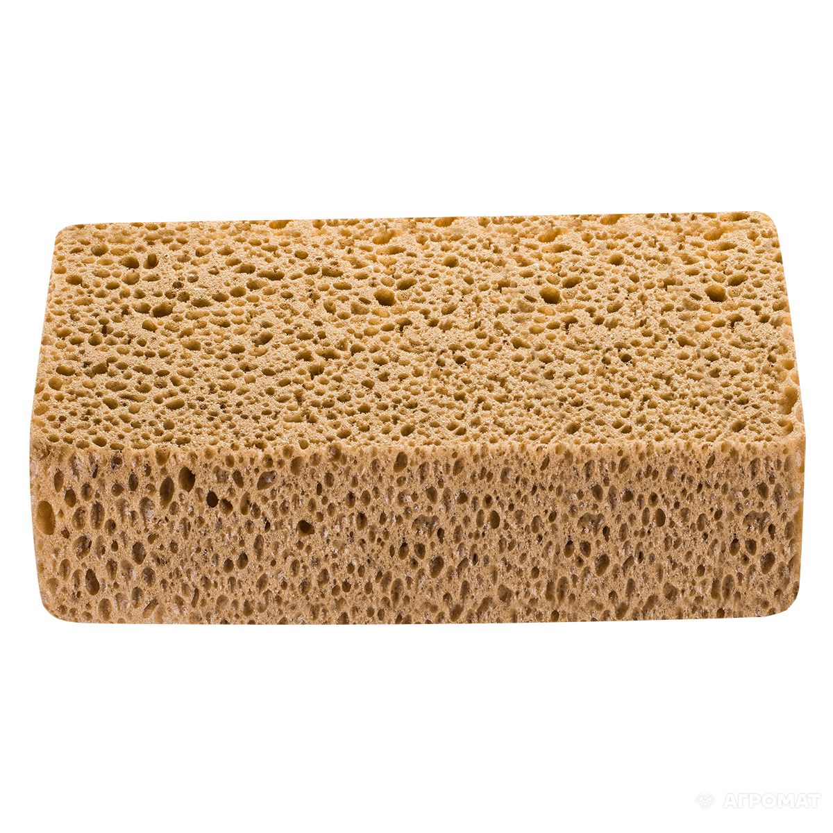 Sponge bath PNG    图片编号:81447