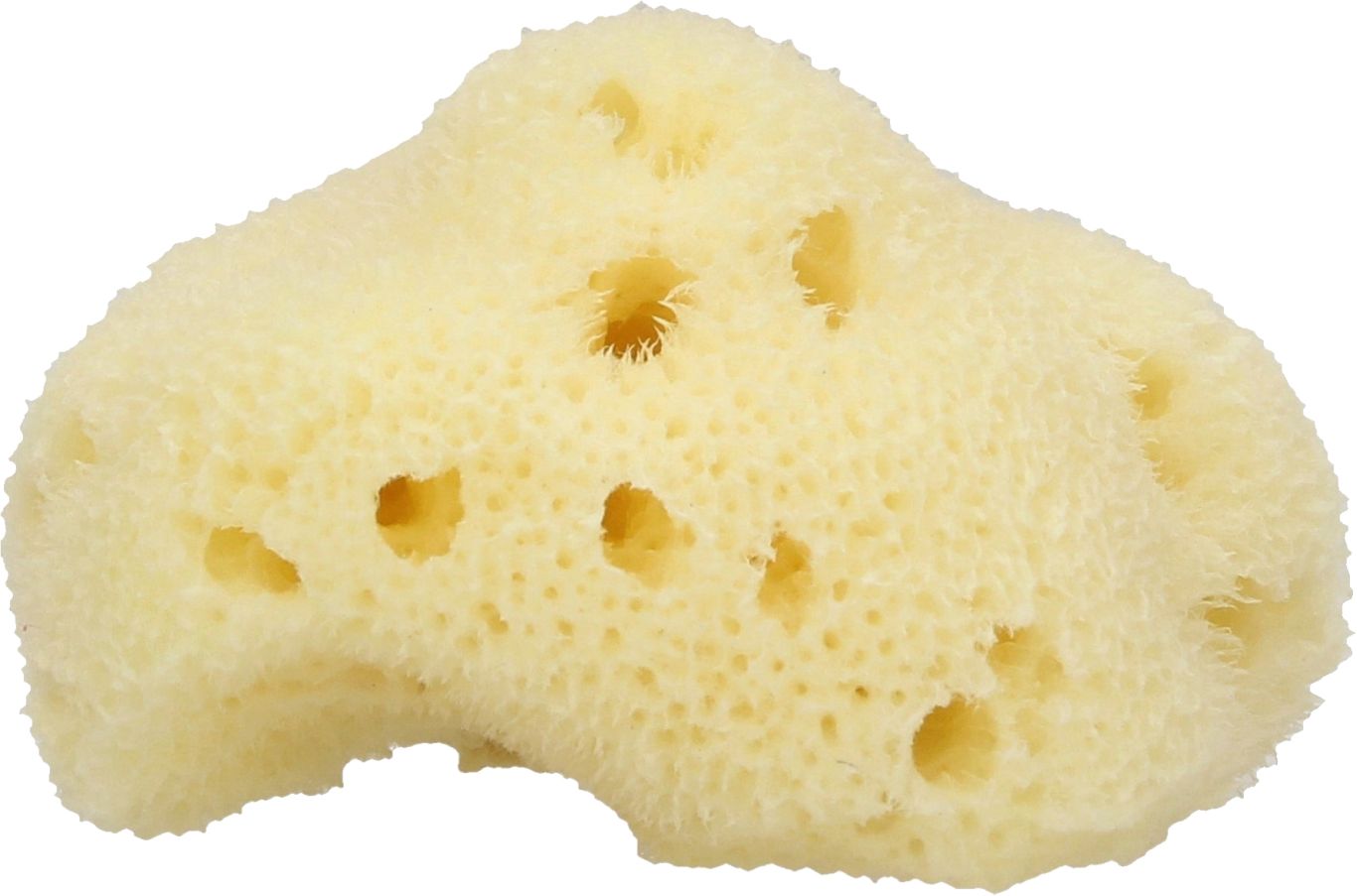 Sponge bath PNG    图片编号:81425