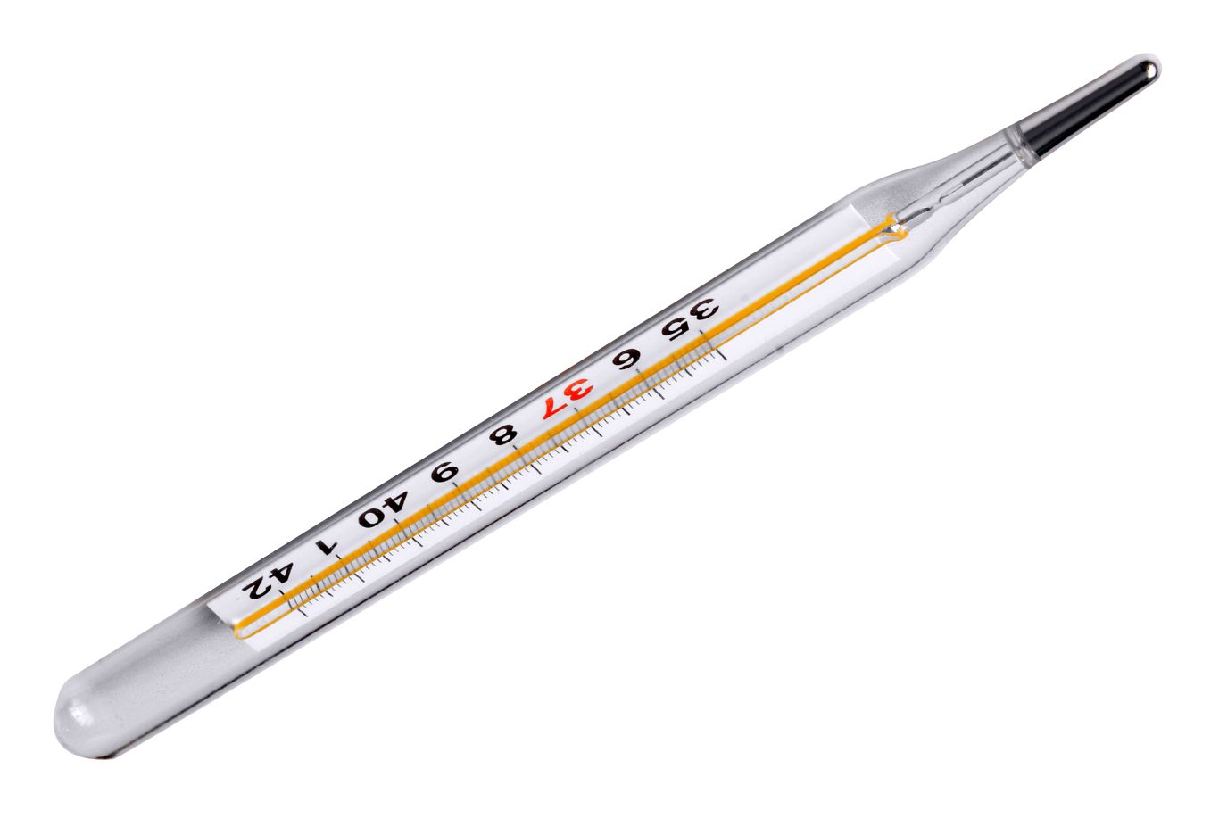 Thermometer PNG    图片编号:77619