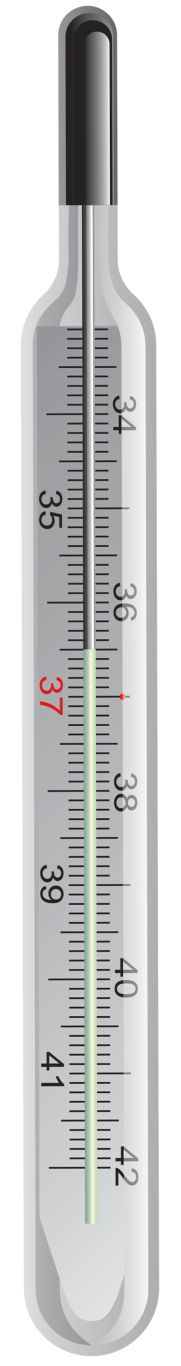 Thermometer PNG    图片编号:77535