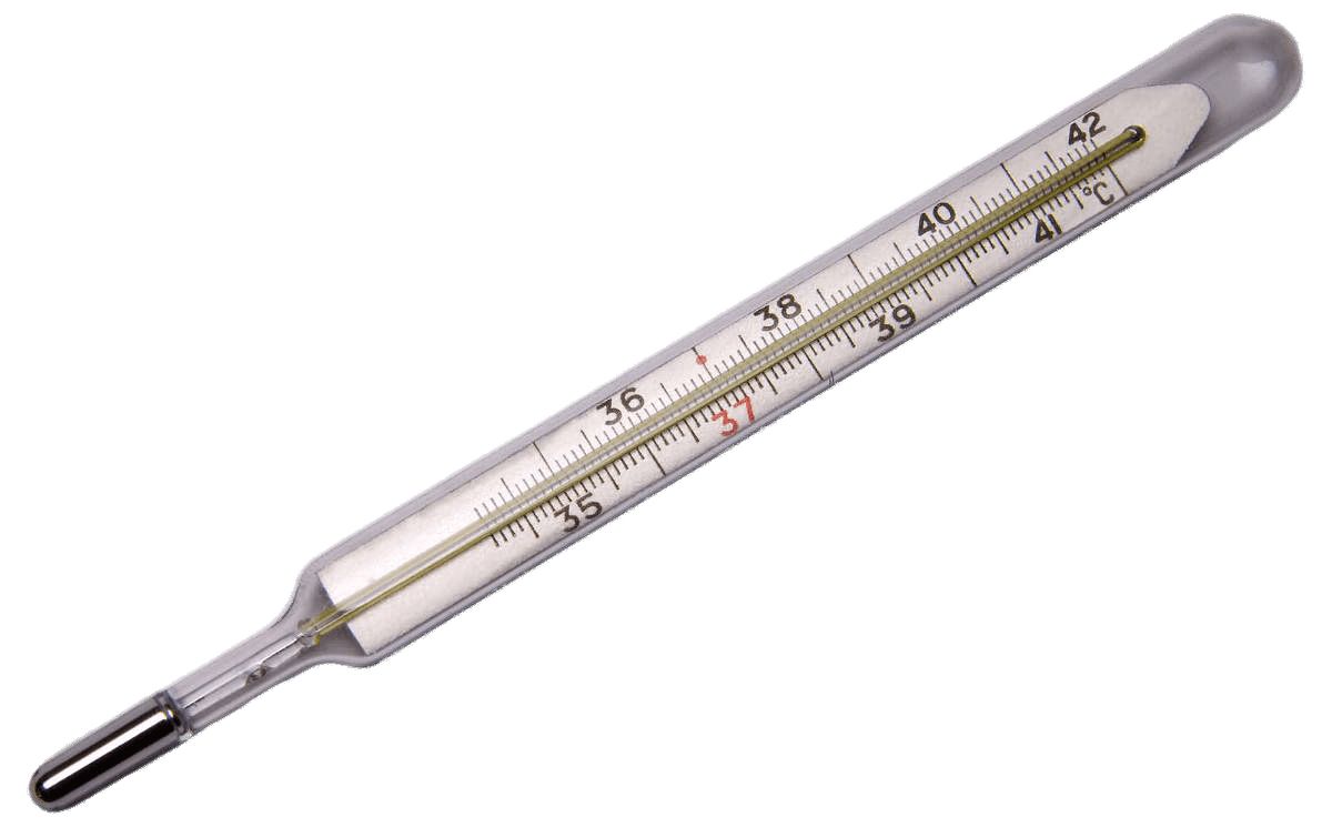 Thermometer PNG    图片编号:77539