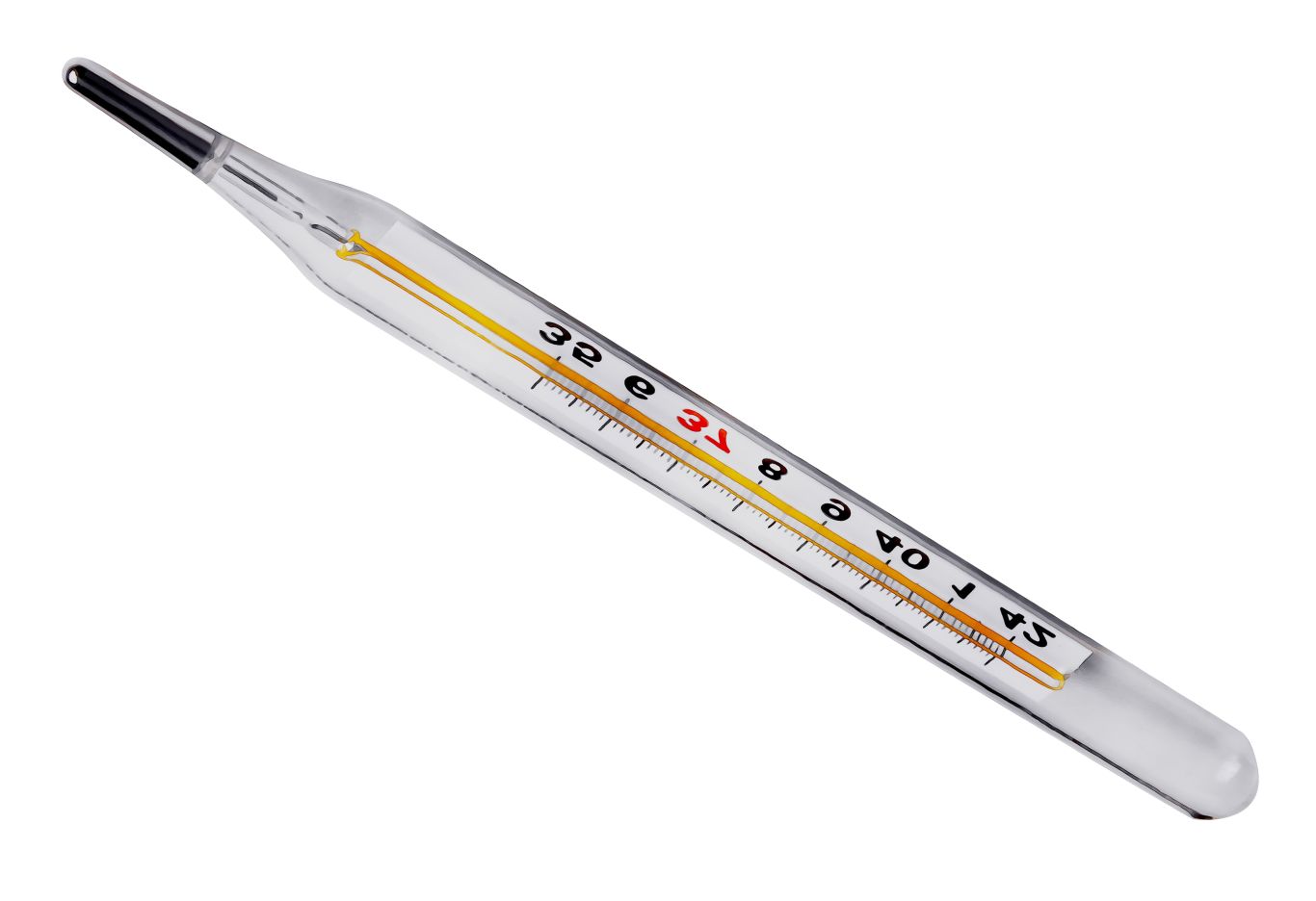Thermometer PNG    图片编号:77579