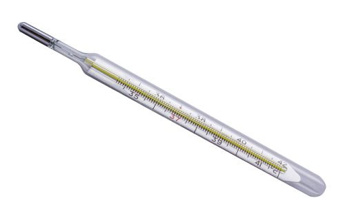 Thermometer PNG    图片编号:77590