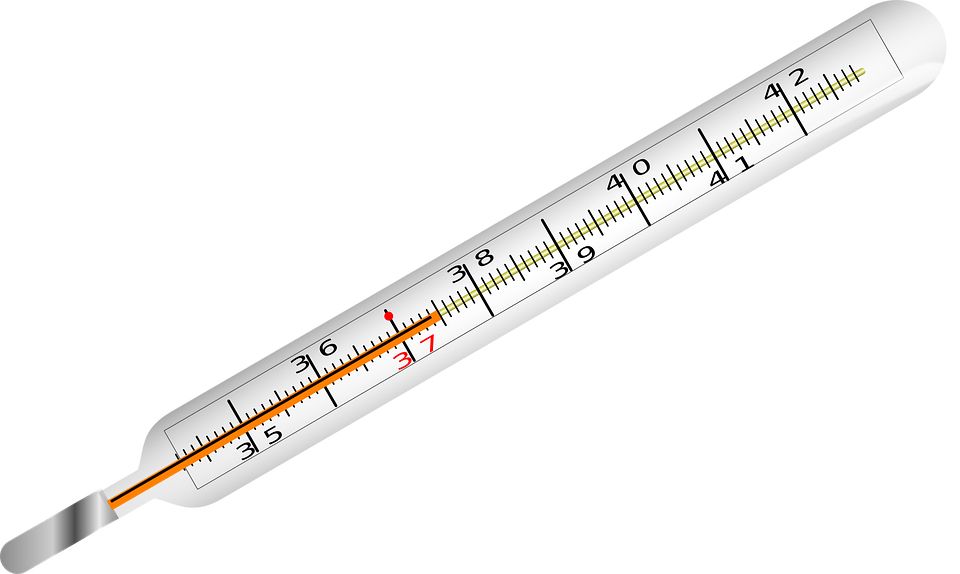 Thermometer PNG    图片编号:77603