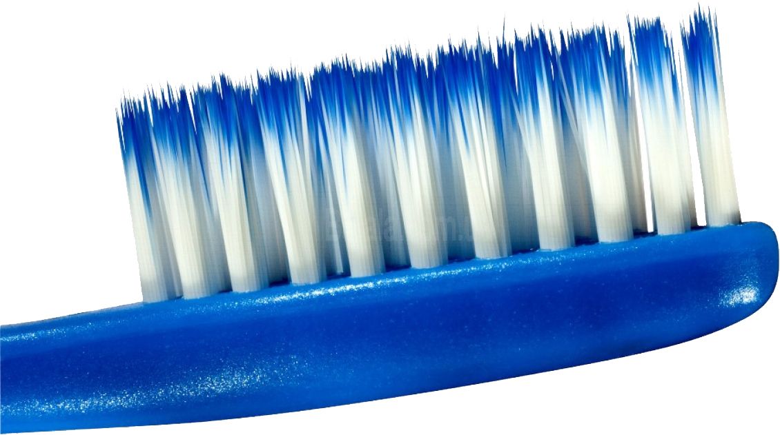Toothbrush PNG    图片编号:75661