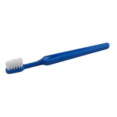 Toothbrush PNG    图片编号:75551