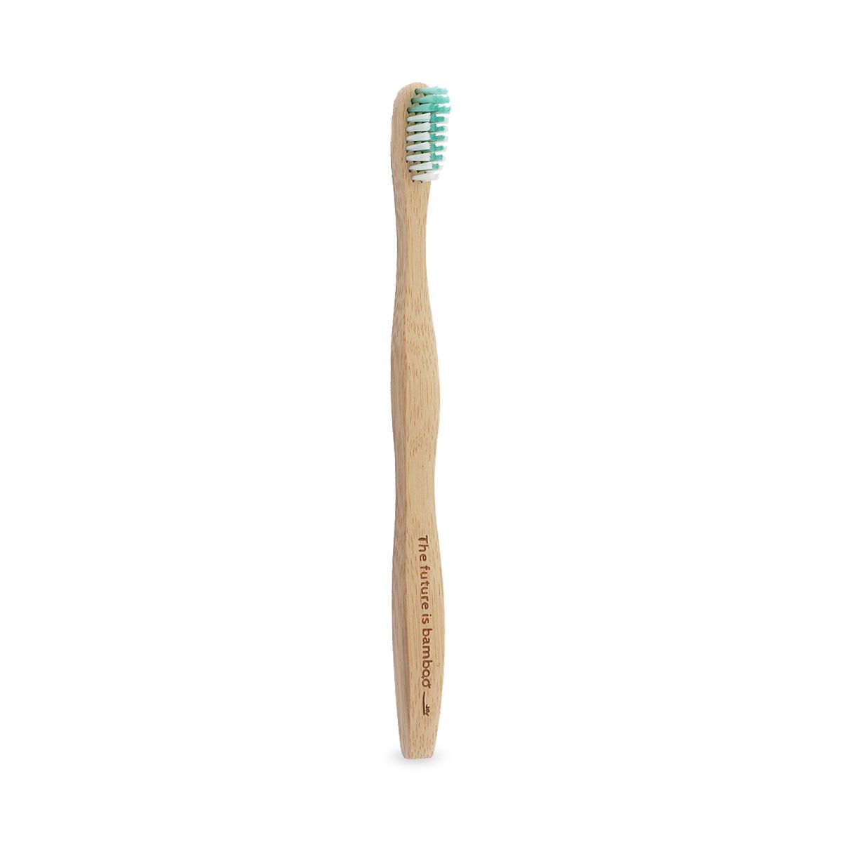 Toothbrush PNG    图片编号:75563