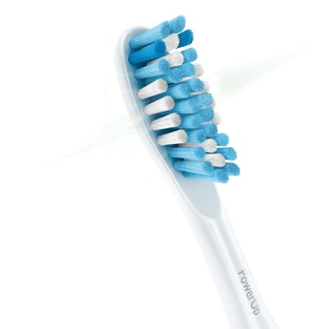 Toothbrush PNG    图片编号:75614