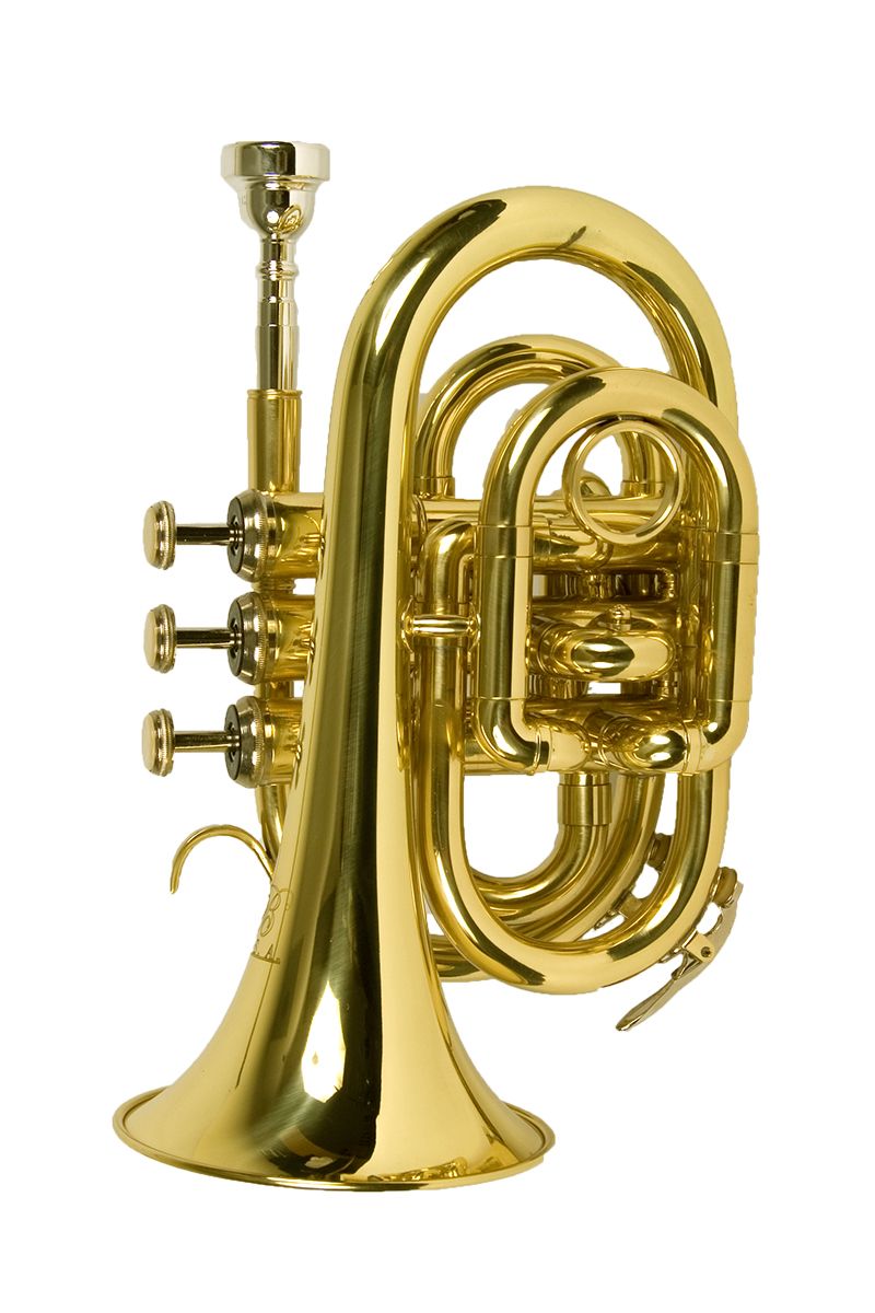 Trumpet PNG    图片编号:14744