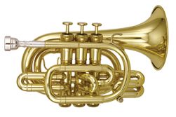 Trumpet PNG    图片编号:14745