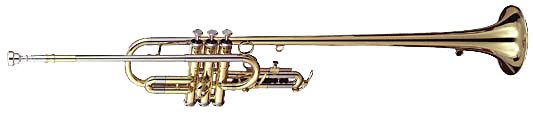 Trumpet PNG    图片编号:14752
