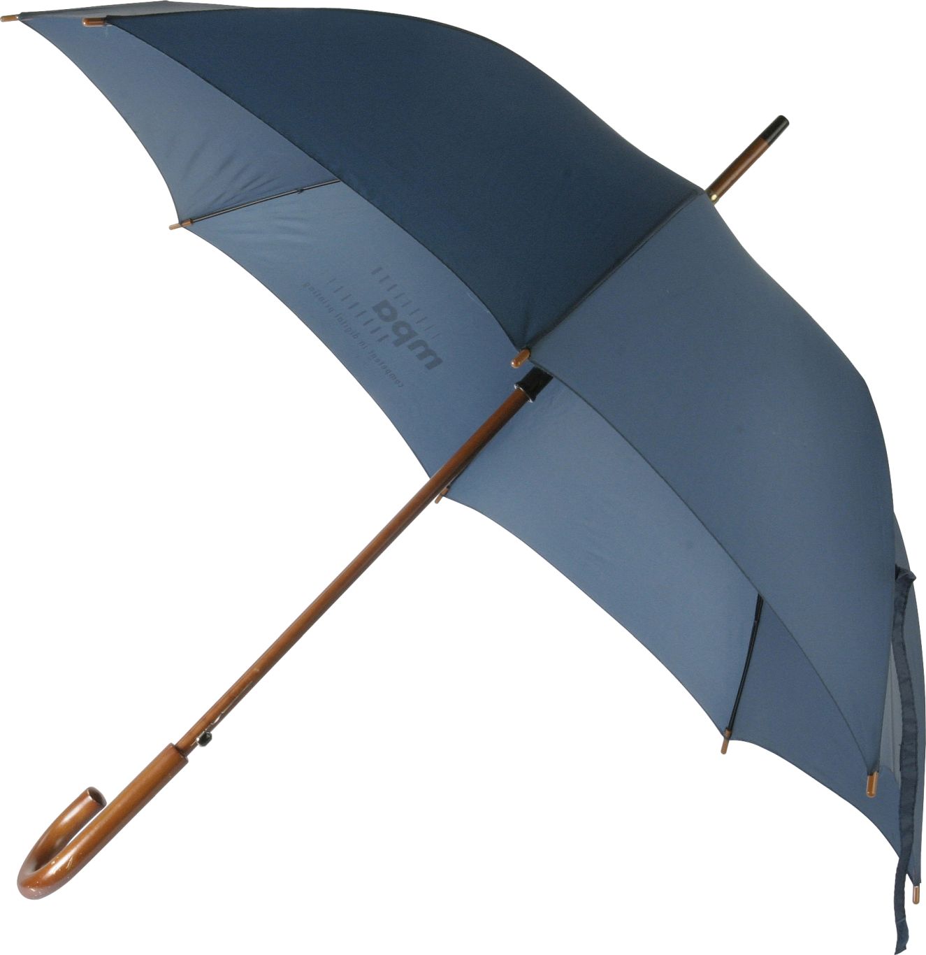 Umbrella PNG image    图片编号:500