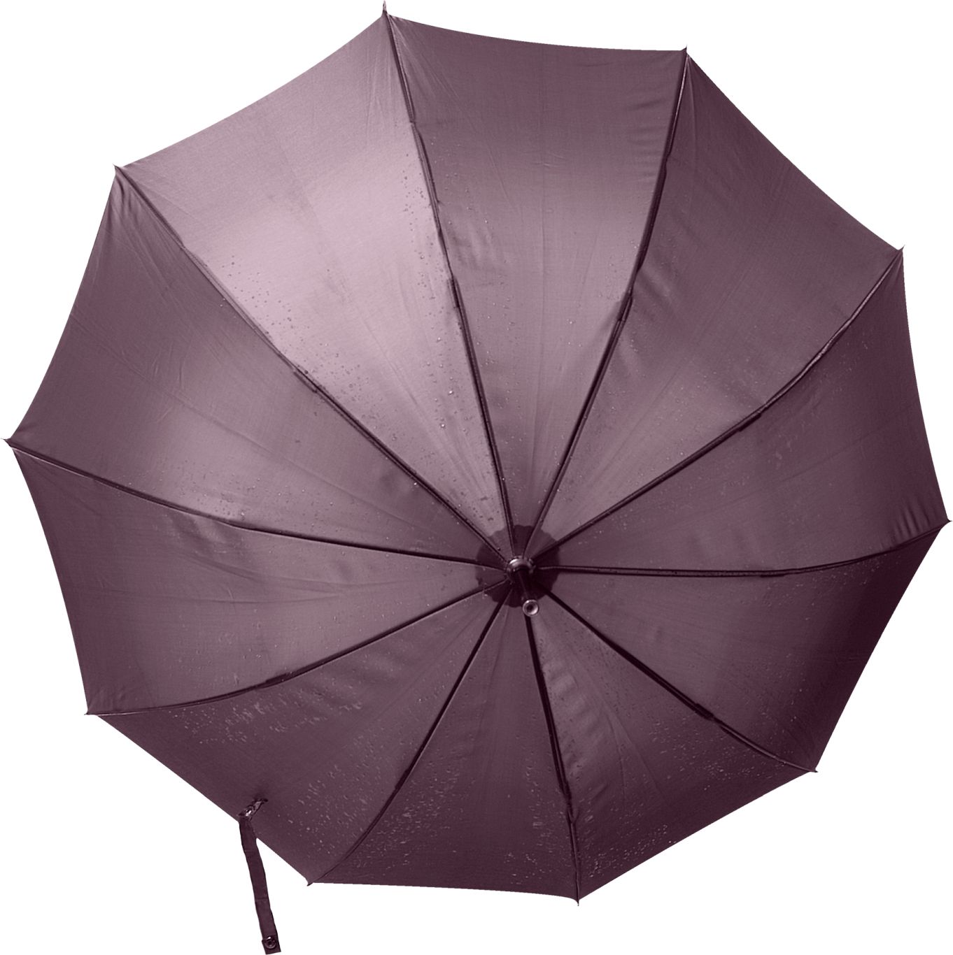 Umbrella PNG    图片编号:69176