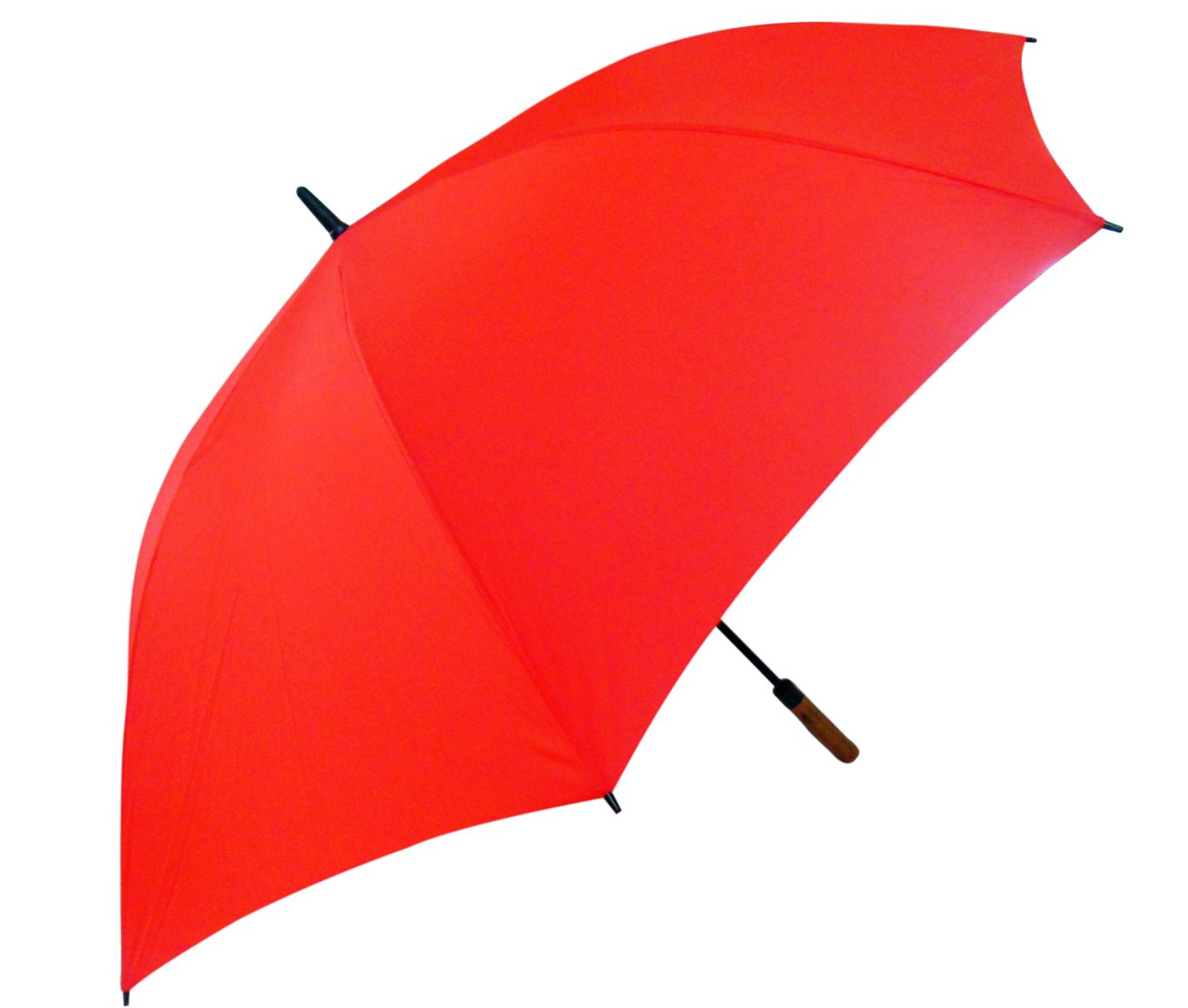 Umbrella PNG    图片编号:69216