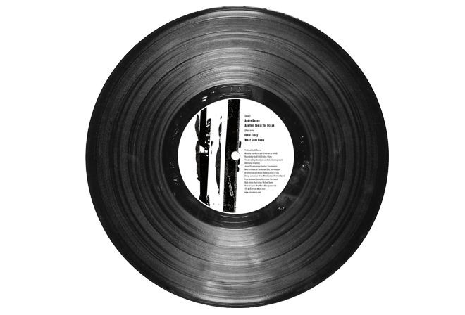 Vinyl record PNG    图片编号:82699