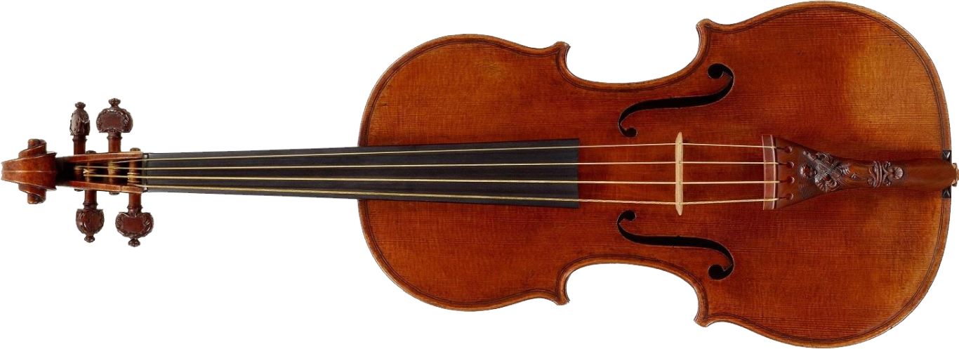 Violin PNG    图片编号:12841